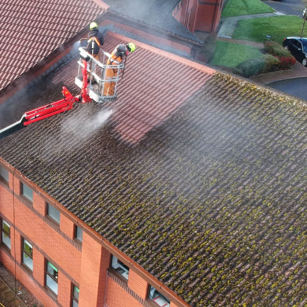 Moos- & Algenentfernung